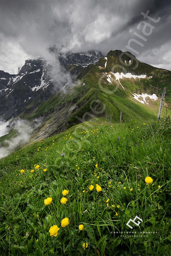 Les Dents du Midi dans les nuages